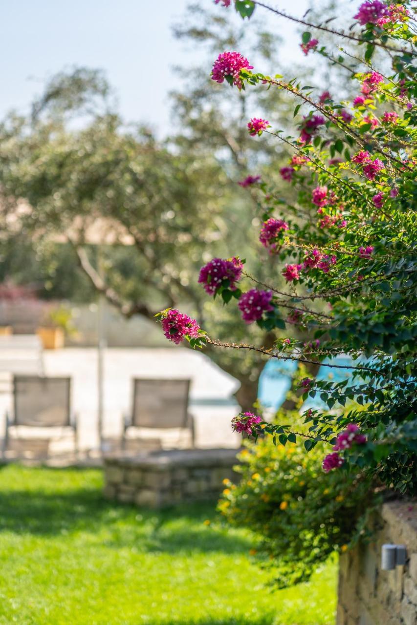 Abelia Luxurious Villas Finikounta Exteriör bild